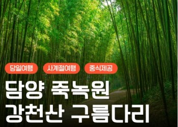 [KTX대전]담양죽녹원 & 메타세콰이어 & 강천산 구름다리 (당일)-8명부터