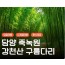 [KTX대전]담양죽녹원 & 메타세콰이어 & 강천산 구름다리 (당일)-8명부터