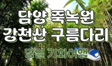[KTX대전]담양죽녹원 & 메타세콰이어 & 강천산 구름다리 (당일)-8명부터