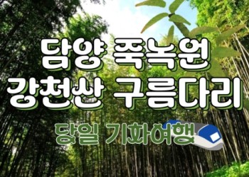 [KTX대전]담양죽녹원 & 메타세콰이어 & 강천산 구름다리 (당일)-8명부터