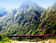 [A-train] 정선아리랑열차 + 시티투어버스1코스 + 레일바이크 패키지 [당일]