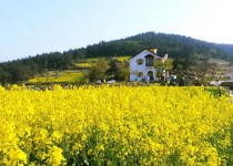 [KTX]청산도*완도*해남 대흥사 1박2일(청산도 내 숙박)