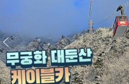 무궁화호 - 대둔산 구름다리 눈꽃 & 케이블카 설경 & 뿌리공원 & 하늘물빛정원 여행(당일)