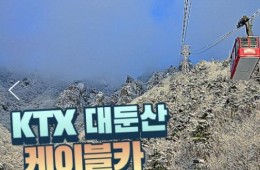 (동대구역출발)KTX - 대둔산 구름다리 눈꽃 & 케이블카 설경 & 뿌리공원 & 하늘물빛정원 여행(당일)