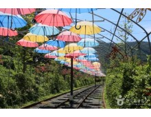 ◆가을맞이◆[KTX-당일]오감만족 청도:미나리삼겹살/와인터널/레일바이크