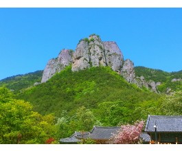 2026 추석 버스 #3 경북*강원 2박3일(안동*주왕산*영덕*울진바다*설악산)_28인승 리무진버스