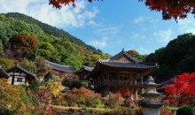 [KTX] 세계문화유산의 역사와 미식의 도시! 영주 하루 기차여행 (부산출발)