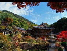 [KTX] 세계문화유산의 역사와 미식의 도시! 영주 하루 기차여행 (부산출발)