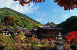 [KTX] 세계문화유산의 역사와 미식의 도시! 영주 하루 기차여행 (부산출발)