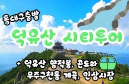 (동대구역출발)KTX - 덕유산 향적봉(정상) & 관광 곤도라 & 무주구천동계곡 여행(당일)