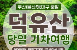 (동대구역출발)KTX - 덕유산 향적봉(정상) & 관광 곤도라 & 무주구천동계곡 여행(당일)