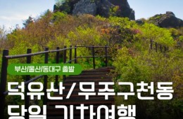 (동대구역출발)KTX - 덕유산 향적봉(정상) & 관광 곤도라 & 무주구천동계곡 여행(당일)