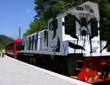 [KTX이음] 충절의 고장 영월 & 협곡열차 하루 기차여행 (부산출발)