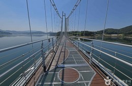 [KTX/새마을] 논산 관촉사 벚꽃 & 탑정호 봄꽃 하루 기차여행 (당일)