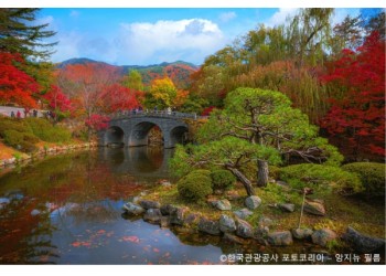 ◆가을맞이◆[KTX-당일]경주 통일전 은행나무길/불국사 애기단풍