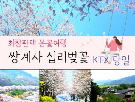 (동대구역출발) KTX - 환상의 쌍계사 십리벚꽃*화개장터 & 최참판댁 봄꽃여행(당일)