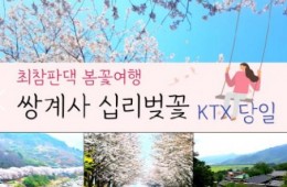 (동대구역출발) KTX - 환상의 쌍계사 십리벚꽃*화개장터 & 최참판댁 봄꽃여행(당일)