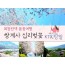 (동대구역출발) KTX - 환상의 쌍계사 십리벚꽃*화개장터 & 최참판댁 봄꽃여행(당일)