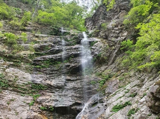 ITX청춘- 남이섬 & 구곡폭포ㆍ구봉산 카페거리 기차여행(당일)