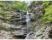 ITX청춘- 남이섬 & 구곡폭포ㆍ구봉산 카페거리 기차여행(당일)