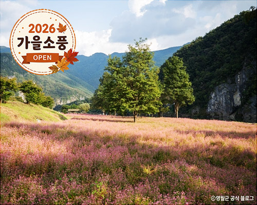 ◆가을맞이◆[KTX-당일]영월 동강 꽃길, 삼굿 한 입, 부석사 한 걸음