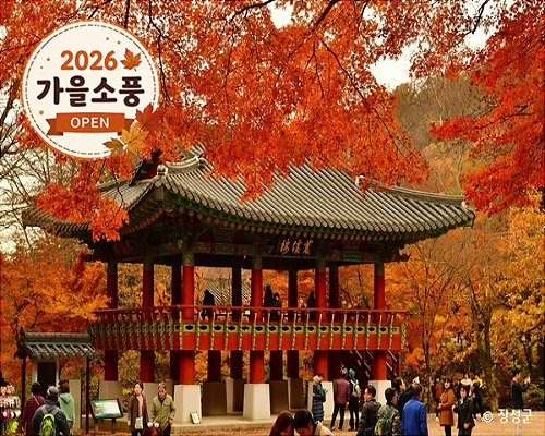 ◆가을맞이◆[KTX-당일]천년 고찰 백양사와 물멍 꽃멍 황룡강/장성호