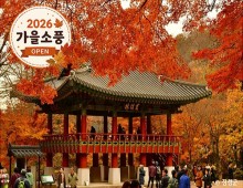 ◆가을맞이◆[KTX-당일]천년 고찰 백양사와 물멍 꽃멍 황룡강/장성호
