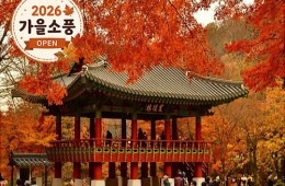 ◆가을맞이◆[KTX-당일]천년 고찰 백양사와 물멍 꽃멍 황룡강/장성호
