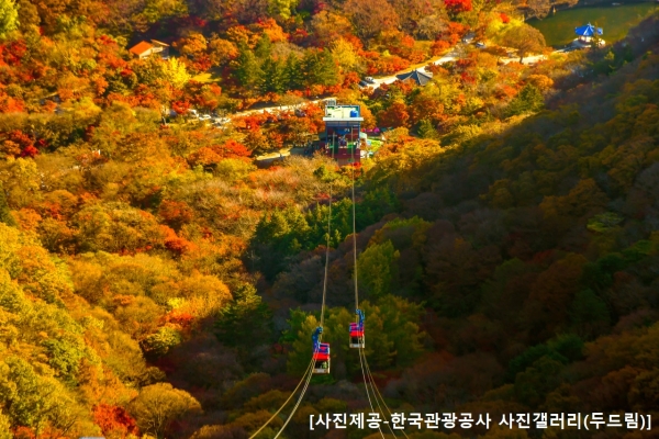 ◆가을맞이◆[KTX정읍-당일]조선8경 오색단풍명소 일번지, 내장산