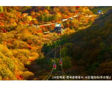 ◆가을맞이◆[KTX정읍-당일]조선8경 오색단풍명소 일번지, 내장산