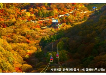 ◆가을맞이◆[KTX정읍-당일]조선8경 오색단풍명소 일번지, 내장산