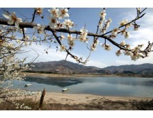 KTX - 섬진강 매화꽃 & 여수 해상케이블카 & 이사부크루즈 & 곡성기차마을 여행(1박2일)