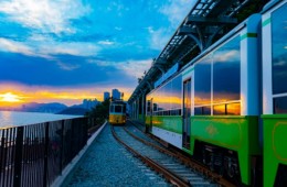 [KTX] 부산 해운대 해변열차& 힐링카페& 겨울바다 하루 기차여행(당일)