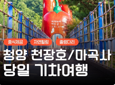 [수서역 출발] KTX - 세계유산 산사!! 마곡사 & 청양 출렁다리 & 고운식물원 여행(당일)