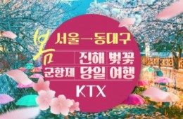 KTX - 환상의 진해벚꽃 & 군항제 여행 (당일) - 왕복 동대구역