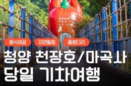 [수서역 출발] KTX - 세계유산 산사!! 마곡사 & 청양 출렁다리 & 고운식물원 여행(당일)
