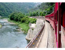 [ITX마음-당일]NEW*중식/음료제공*[협곡열차②] 분천산타마을+백두대간수목원