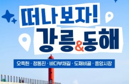 [KTX] 강릉 오죽헌 바다부채길 & 동해 도째비골 해랑전망대 당일 기차여행