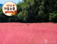 ◆가을맞이◆[KTX-당일](1식제공)핑크뮬리 청농원+선운사