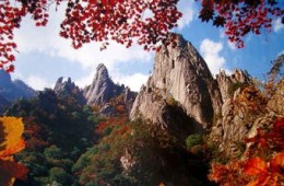 KTX - 설악산(남설악)가을단풍 & 오죽헌 여행(당일)