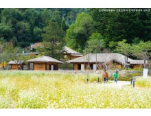 [KTX-당일]9월 평창시티 메밀향따라 이효석문학관＆평창효석문화