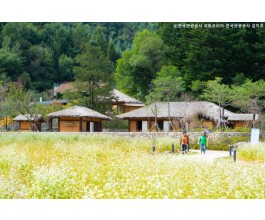 [KTX-당일]9월 평창시티 메밀향따라 이효석문학관＆평창효석문화