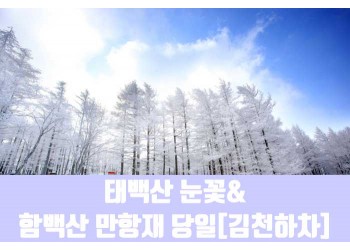 ★겨울눈꽃★[김천하차]태백산 눈꽃&함백산 만항재(당일)