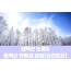 ★겨울눈꽃★[김천하차]태백산 눈꽃&함백산 만항재(당일)