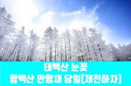 ★겨울눈꽃★[제천하차]태백산 눈꽃&함백산 만항재(당일)