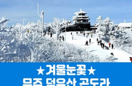 ★겨울눈꽃★무주 덕유산 곤도라&머루와인동굴(당일)