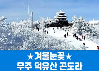 ★겨울눈꽃★무주 덕유산 곤도라&머루와인동굴(당일)