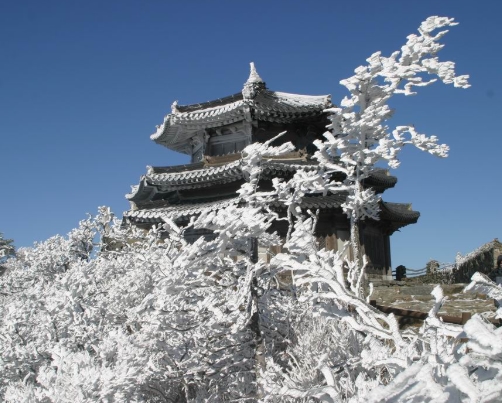 [KTX] 무주 덕유산 곤도라&영동 와인터널 하루 기차여행(서울출발)