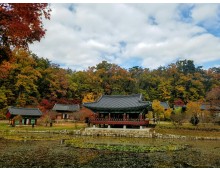 11월 1일 울진 불영사 단풍 / 왕피천 케이블카 / 죽변항
