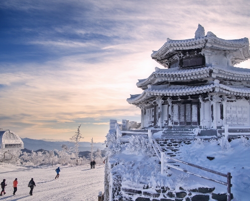 [KTX] 무주 덕유산 곤도라&영동 와인터널 하루 기차여행(부산출발)